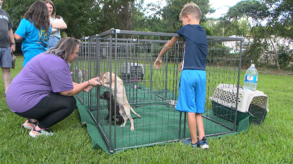 New Hope Animal Rescue Center holds adoption event in Petal