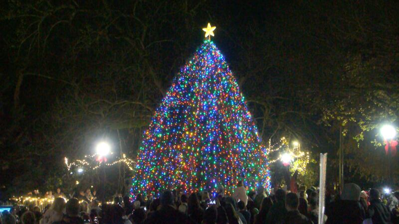 The tree was originally planted post-Hurricane Katrina and has served as the official...