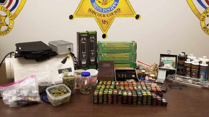 Hancock County narcotics agents say they uncovered a marijuana grow operation, live marijuana...