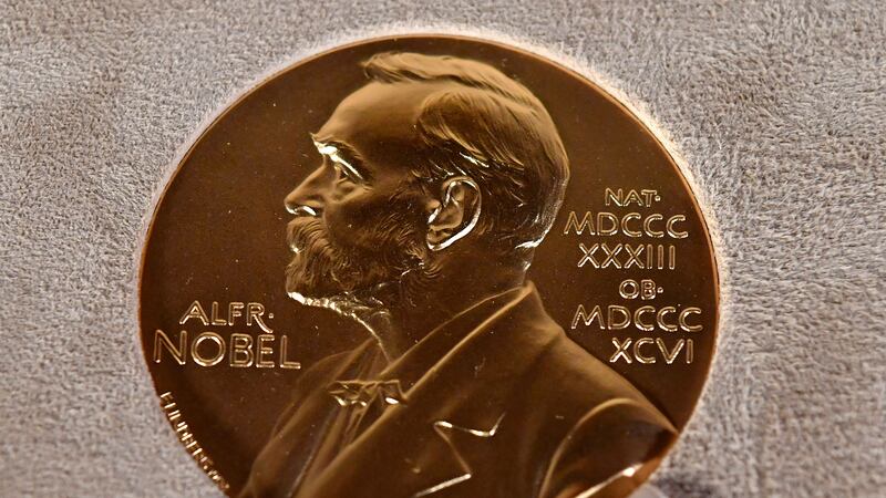 FILE - The award has in the past put a spotlight on groups and activists trying to prevent...