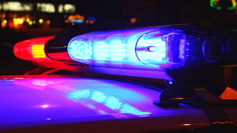The twins were fighting when one brother grabbed a small kitchen knife and stabbed his...