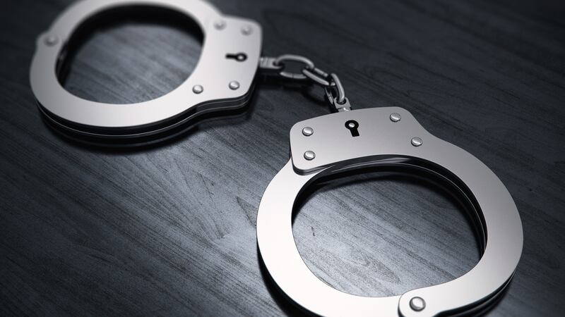 Silua Lualemaga was arrested on two charges of poisoning food, water or medicine after she...