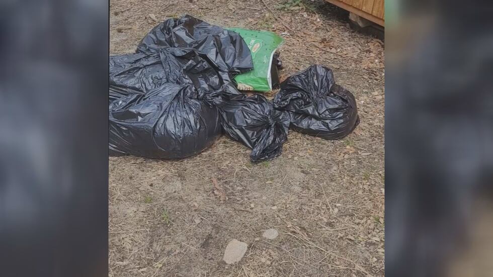 A horrific discovery, 30 dogs were found dead last week on a Saucier property and a woman who...
