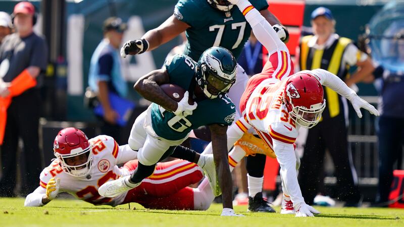 (AP Photo/Matt Rourke)