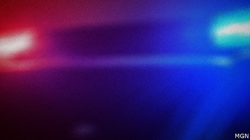 A former student armed with a semiautomatic pistol and a revolver who killed four people and...